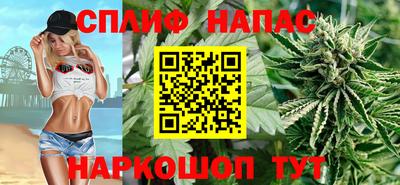 гашик Гусев